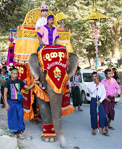 boy-on-elephant-back-novitiation-ceremony