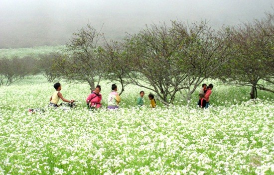 Vietnam's Mai Chau travel, watch the beautiful nature of mountainous area