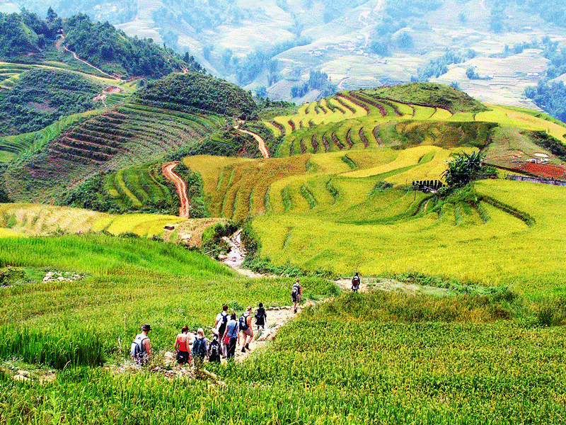 Visit Sapa and experience the most breath taking view ever